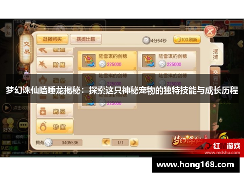 梦幻诛仙瞌睡龙揭秘：探索这只神秘宠物的独特技能与成长历程